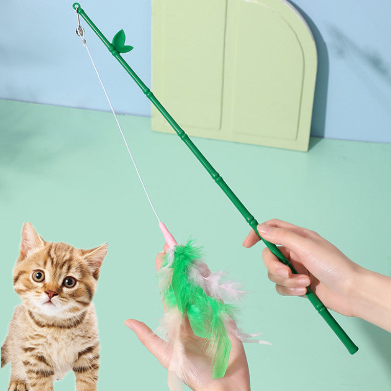 Feather wand with a kitten