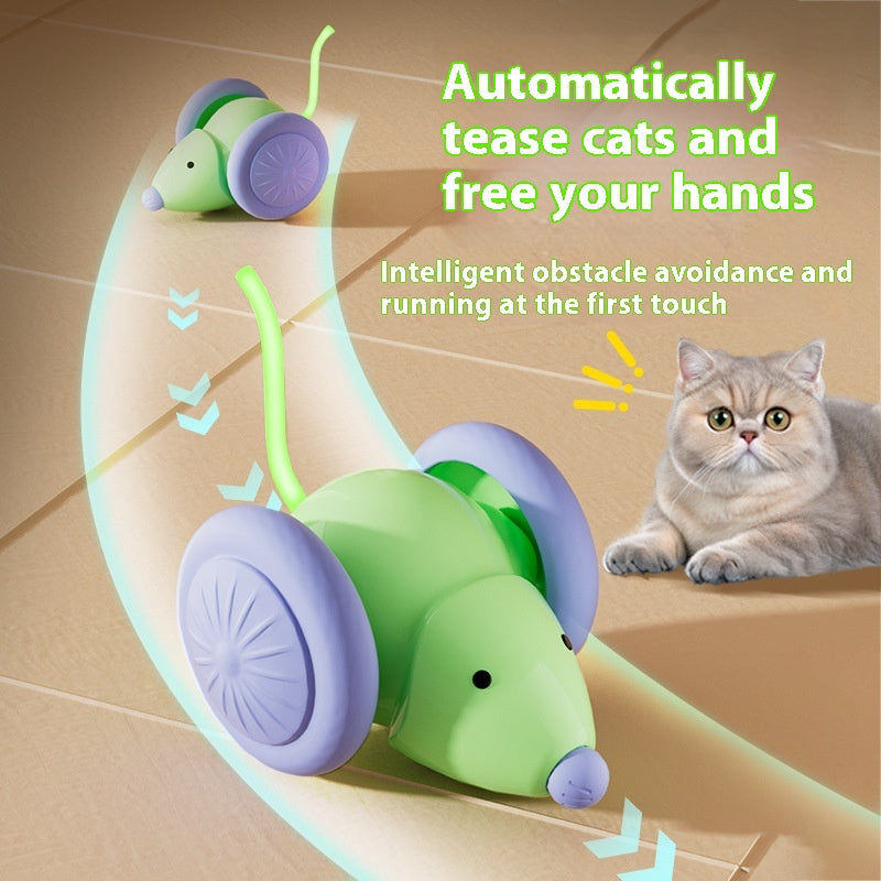 Winter Play Kit – 4 Toys for Indoor Cats